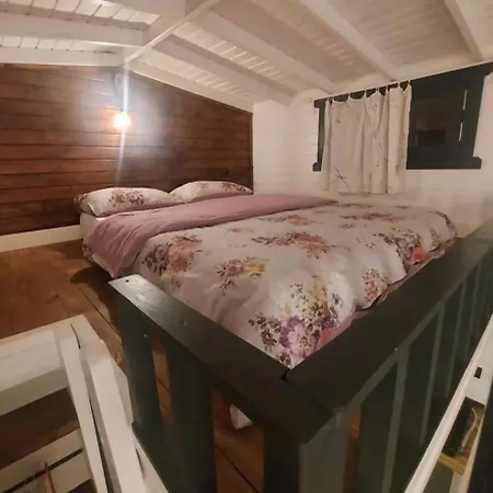 Tiny House Apartment